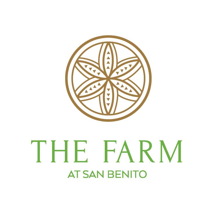 the farm san benito bridal fair